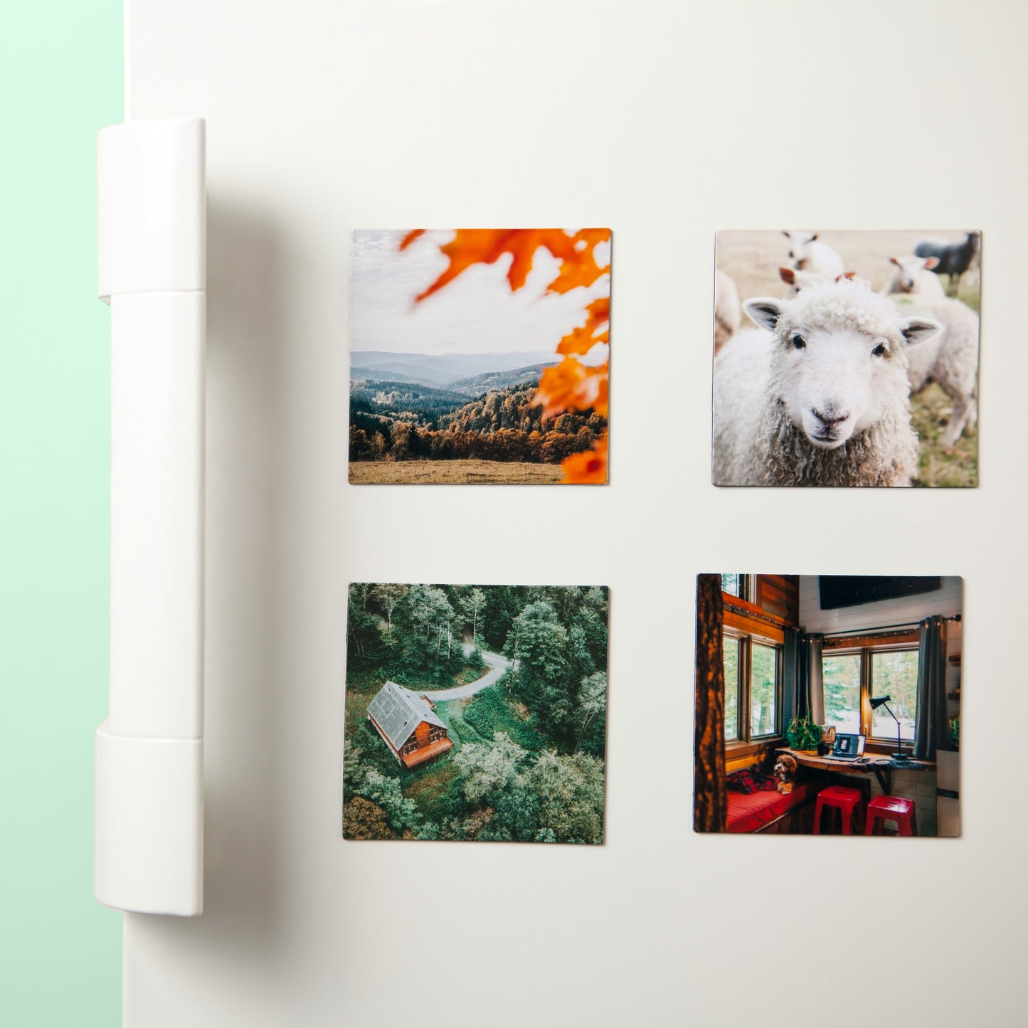 Custom Photo Magnets - Set of 9